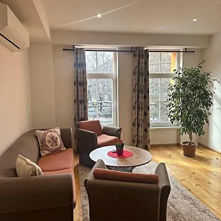 Center 3 Apartment